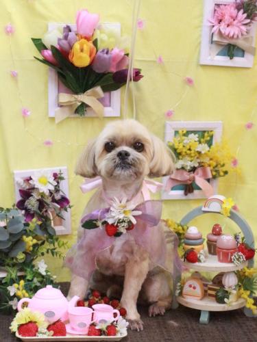 20230326ラルクくん